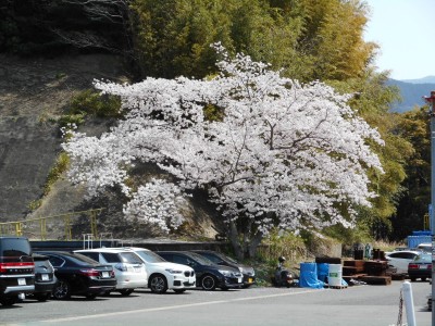 DSCN0031